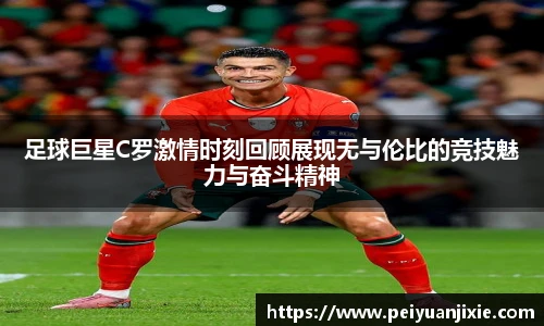 三亿体育官网入口