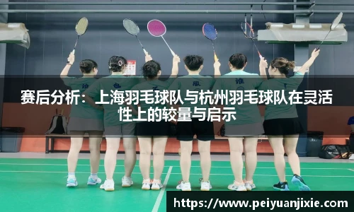 赛后分析：上海羽毛球队与杭州羽毛球队在灵活性上的较量与启示
