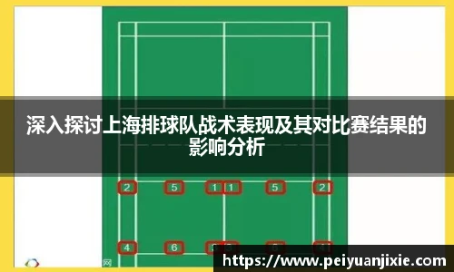 深入探讨上海排球队战术表现及其对比赛结果的影响分析