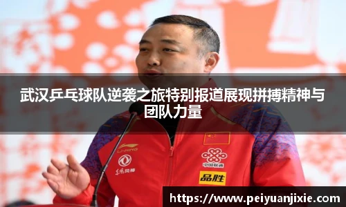 武汉乒乓球队逆袭之旅特别报道展现拼搏精神与团队力量