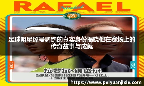 足球明星绰号鹦鹉的真实身份揭晓他在赛场上的传奇故事与成就